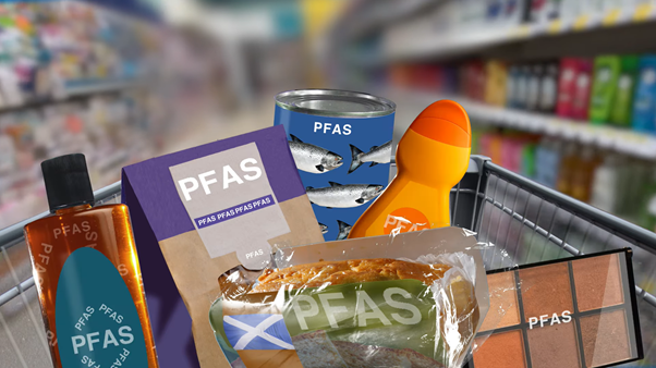 THE SILENT THREAT: DANGERS OF PFAS IN CONSUMER PACKAGING